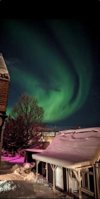 Property building, Night, Natural landscape, Winter