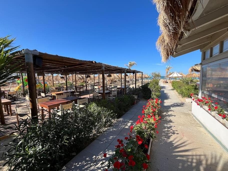 Property building, Day