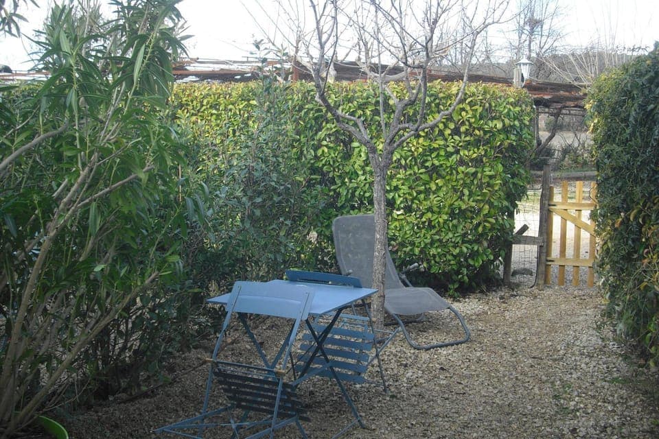 Day, Garden, Garden view