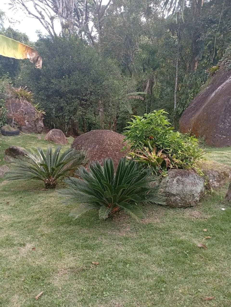 Garden view
