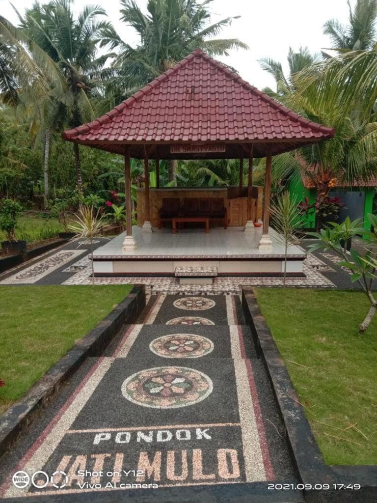 Day, Natural landscape, Garden