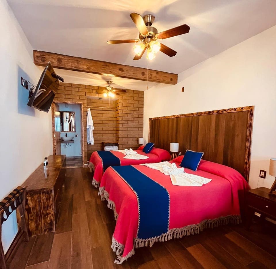 Photo of the whole room