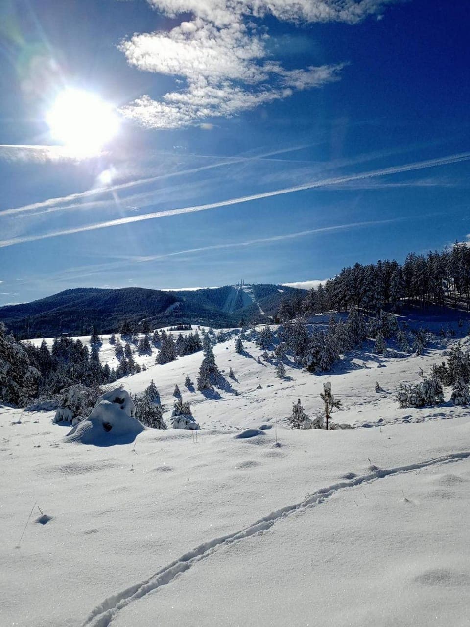 Day, Winter, Mountain view
