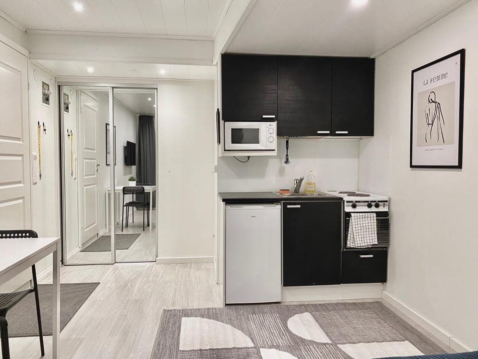 Kitchen or kitchenette, minibar, pet friendly, stove