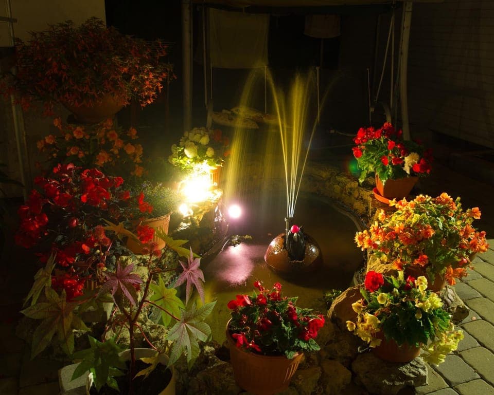 Patio, Natural landscape