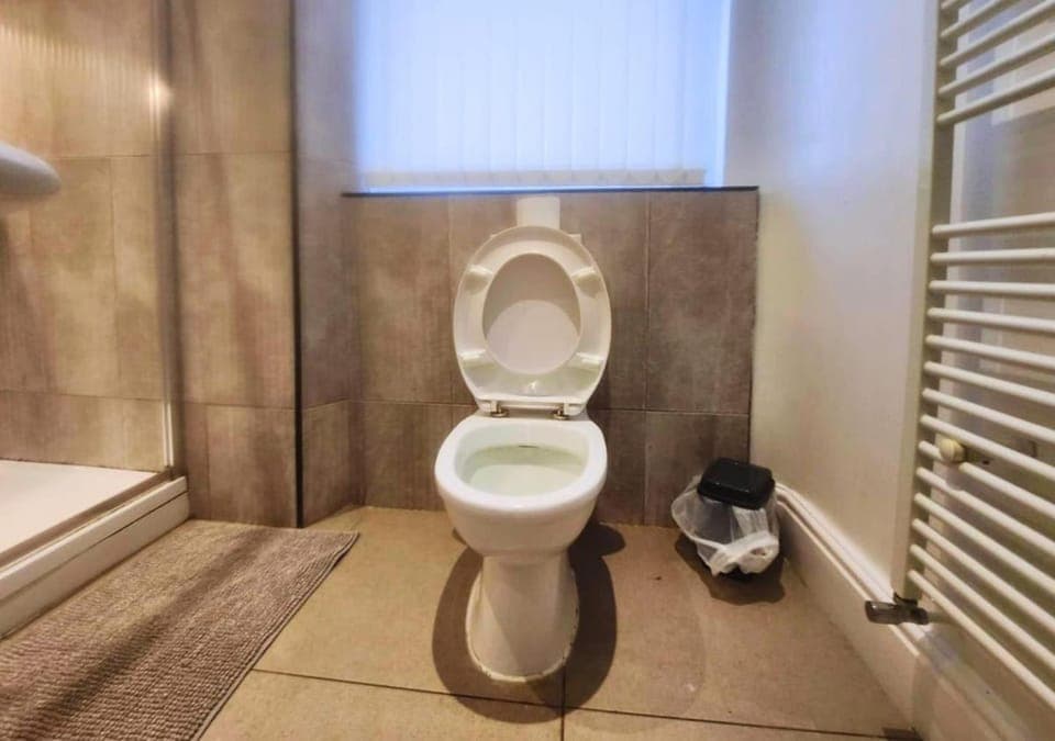 Toilet, Other