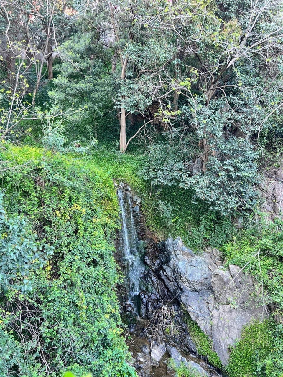Garden, Photo of the whole room