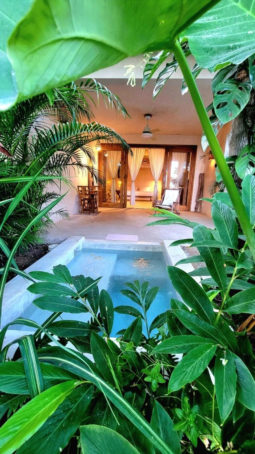 Natural landscape, Garden, Garden view, Pool view, Swimming pool