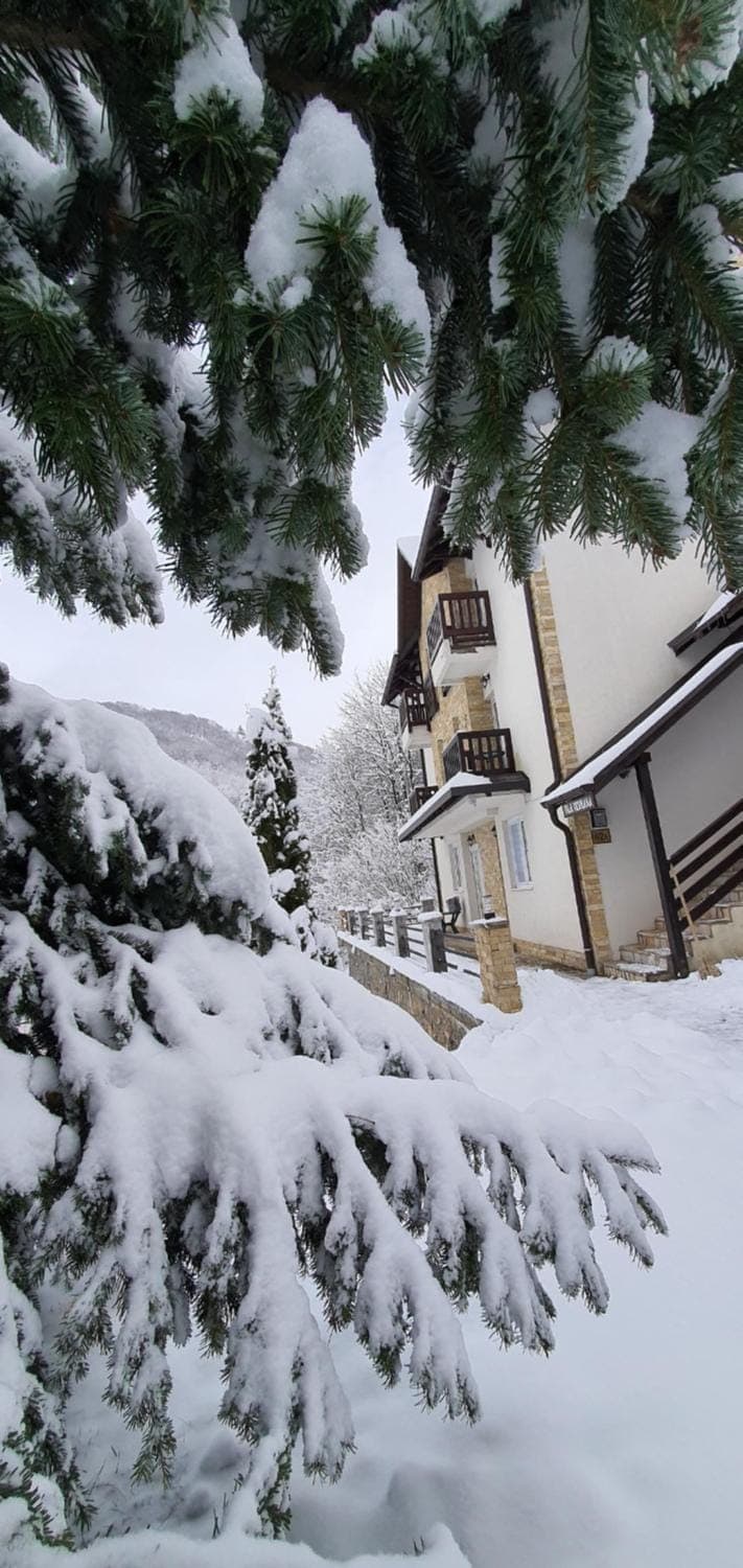Property building, Day, Natural landscape, Winter