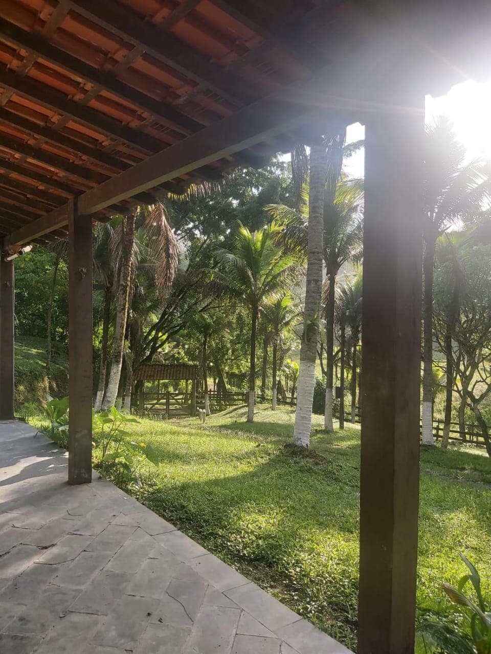 Garden view
