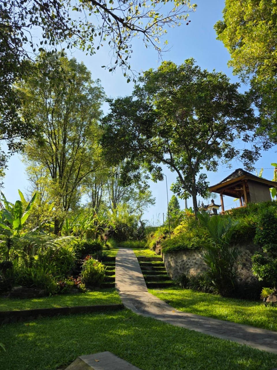 Natural landscape, Garden view