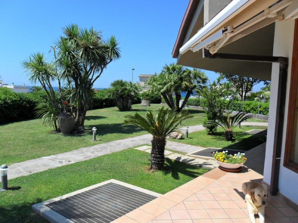 Day, Garden, Garden view