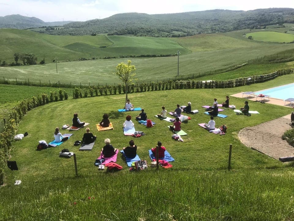 Day, Garden, Garden view, Swimming pool, Swimming pool, group of guests