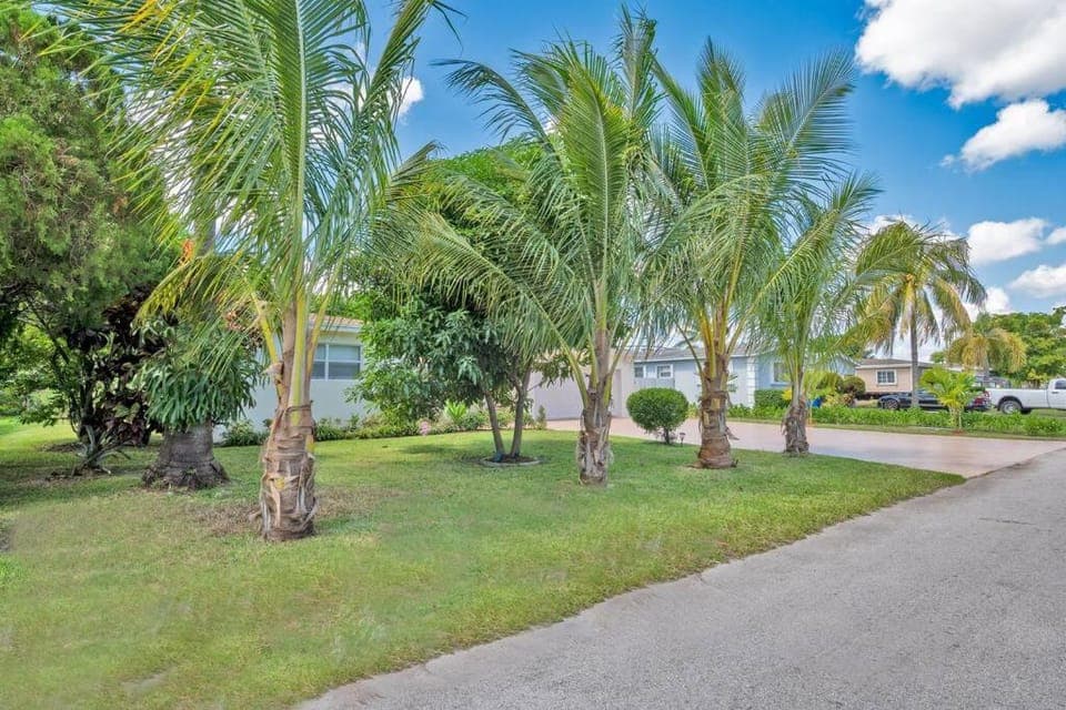 Natural landscape, Garden, Garden view