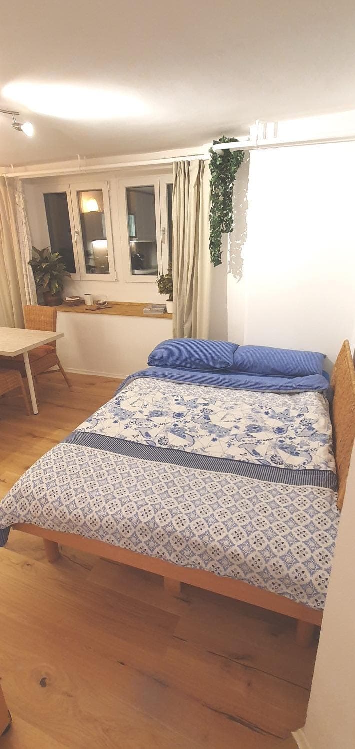 Living room, Photo of the whole room, Decorative detail, Bedroom