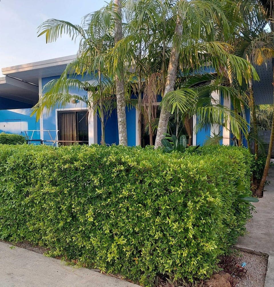 Property building, Patio, Text overlay, Garden view