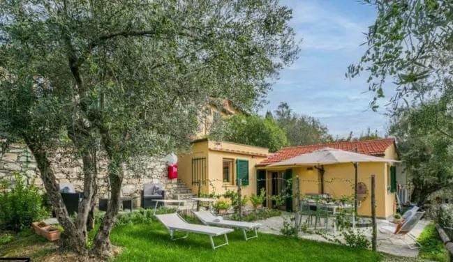 Property building, Patio, Garden, Garden, Solarium, Balcony/Terrace