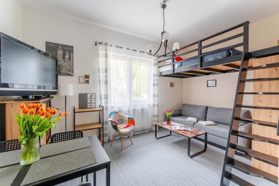 Bed, TV and multimedia, Seating area