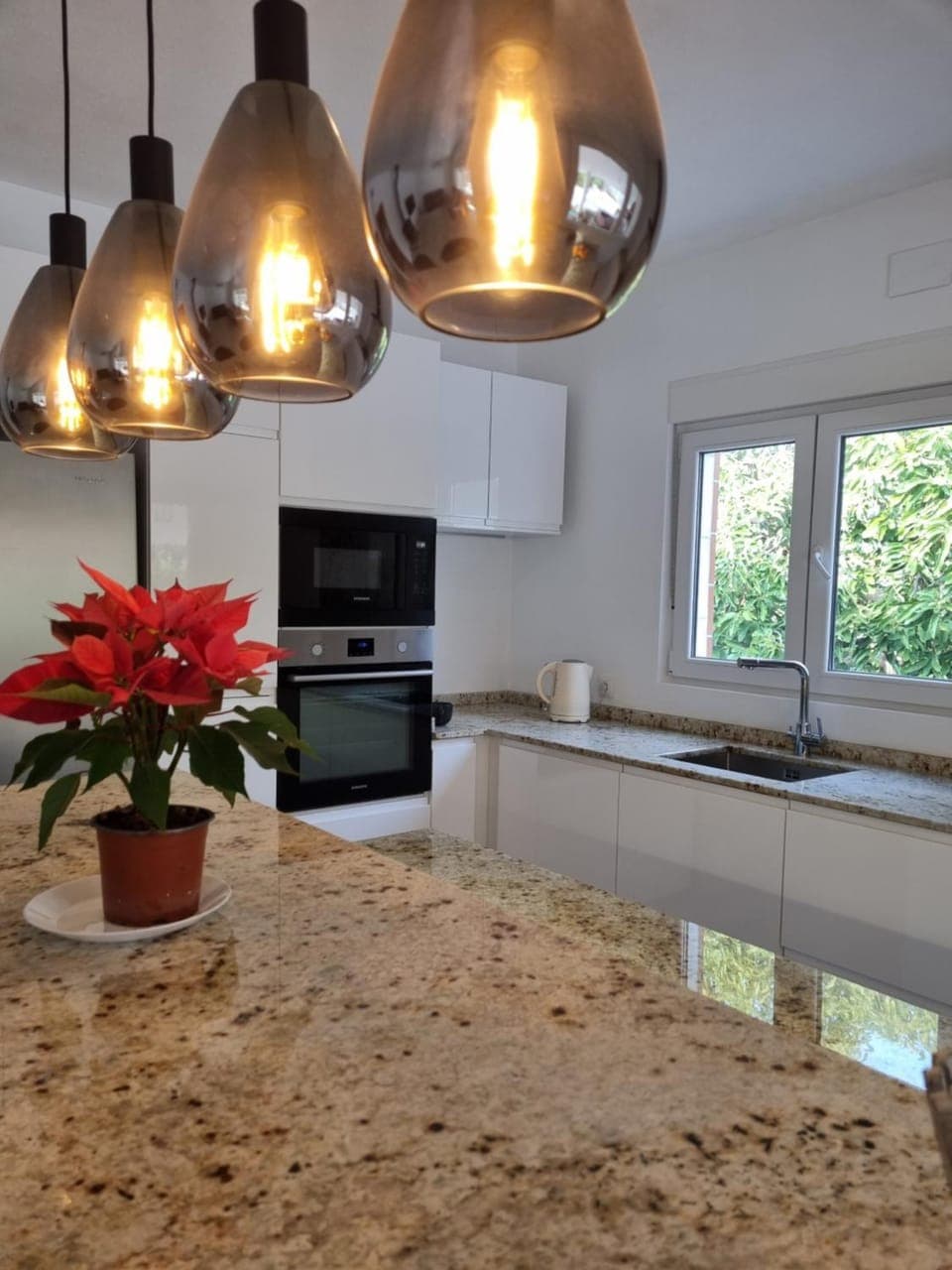 Kitchen or kitchenette, minibar, pet friendly