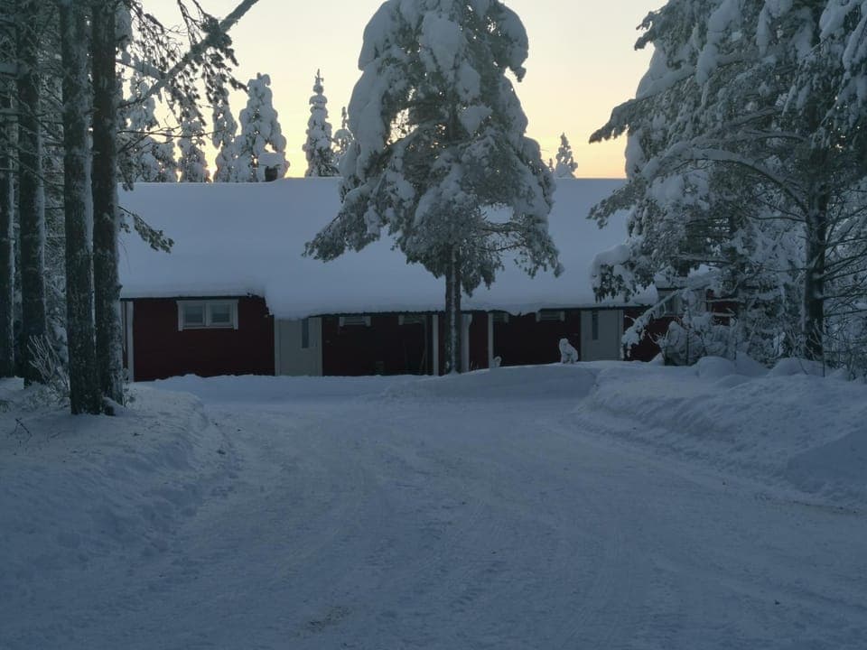 Property building, Winter