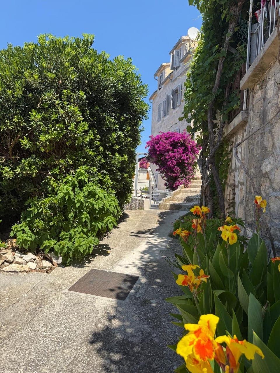 Property building, Facade/entrance, Day