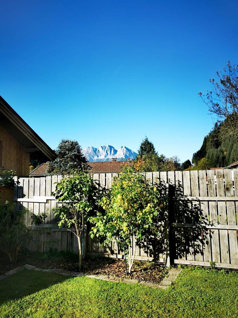 Summer, Garden, Garden view, Mountain view