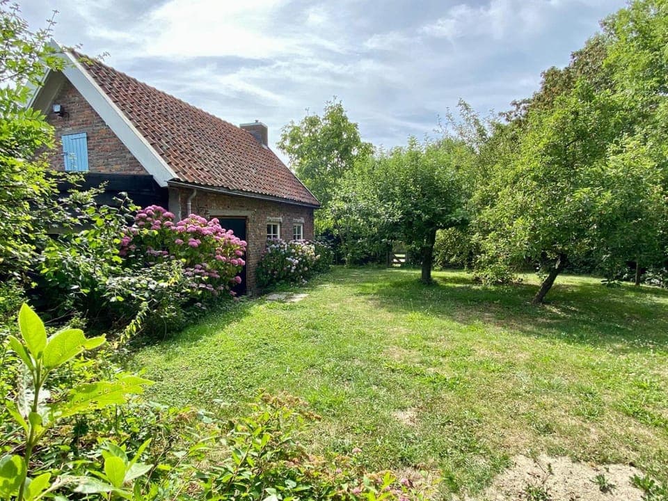 Natural landscape, Garden, Garden