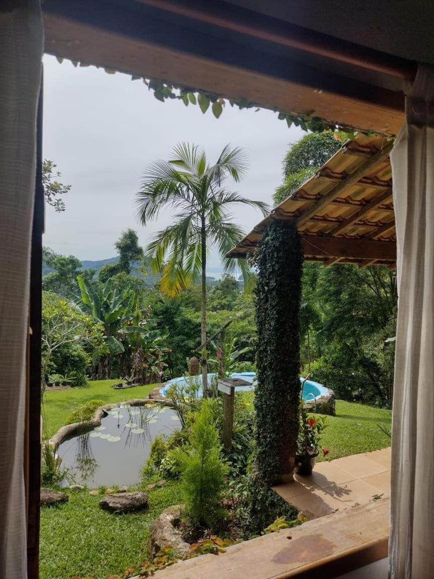 Patio, Natural landscape, Garden, Garden view, Pool view, Swimming pool