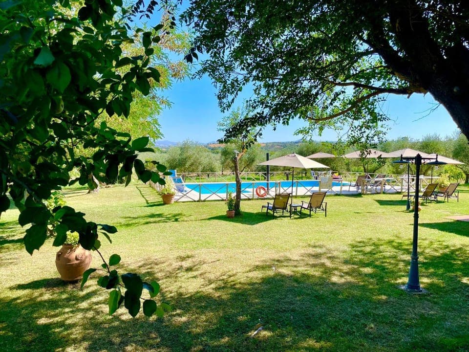 Garden, Garden view, Swimming pool, sunbed