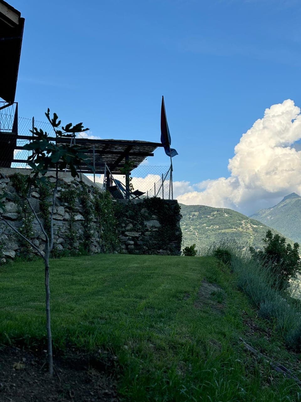 Spring, Day, Natural landscape, Garden, Garden view, Mountain view