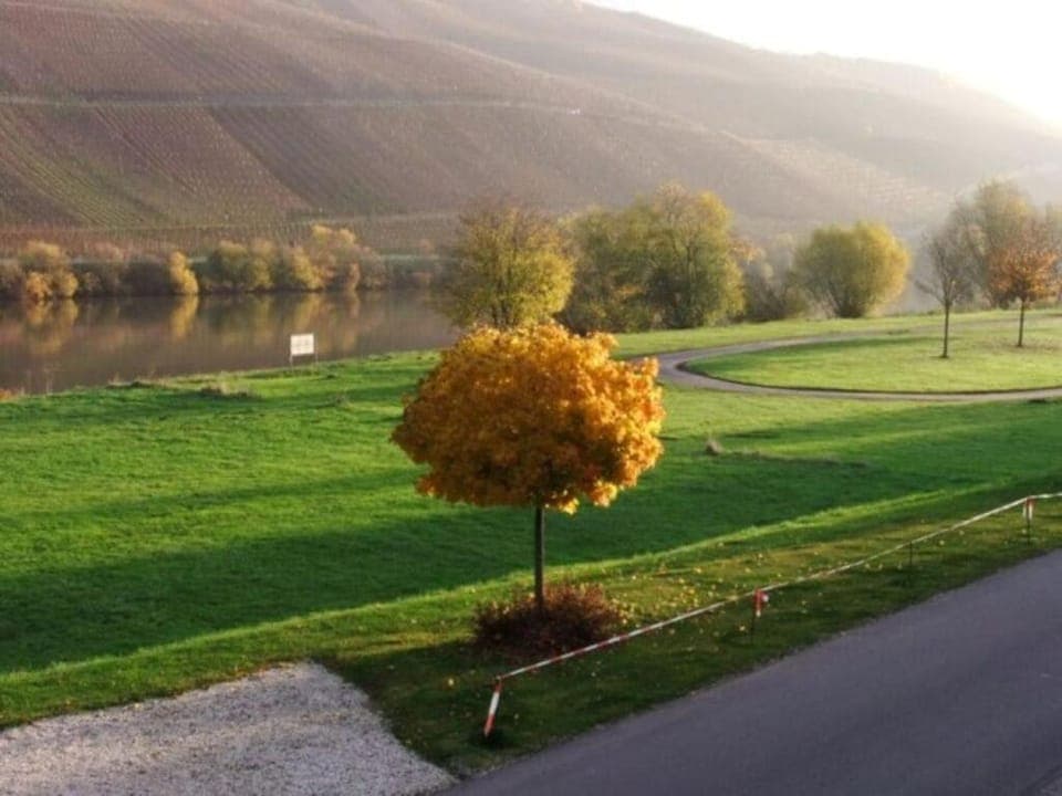 Neighbourhood, Other