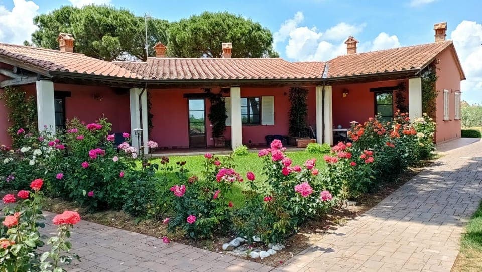 Property building, Spring, Garden, Garden view