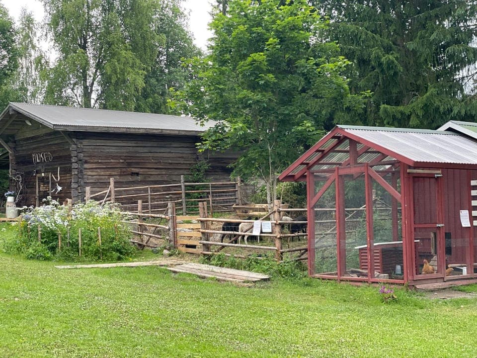 Matkailutila Haapamäki Farm Stay in Finland