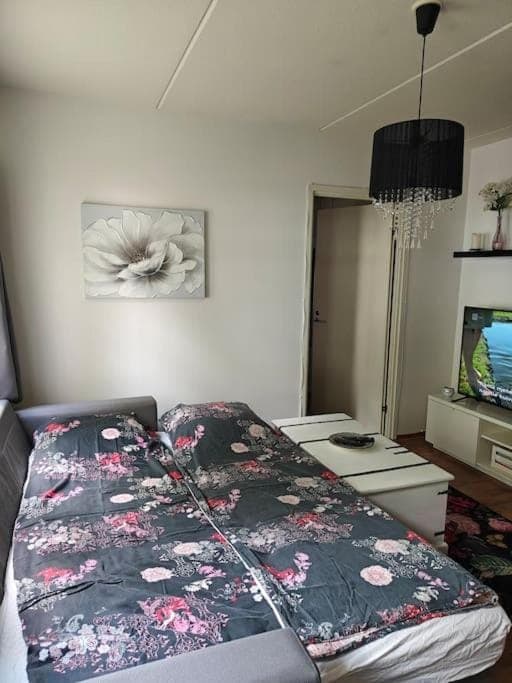 Kaunis kaksio lähellä rautatieasemaa Apartment in Finland