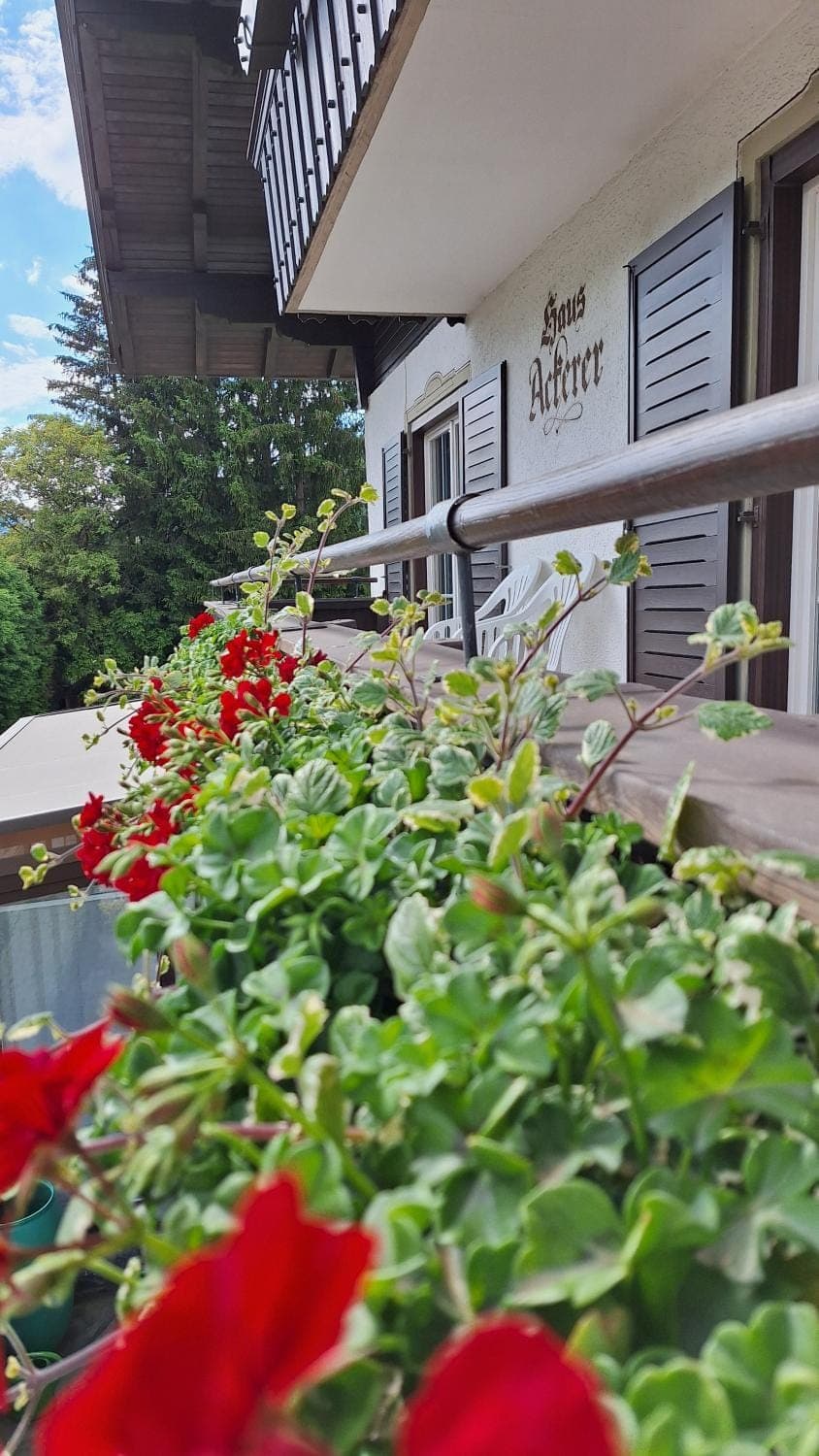 Property building, Balcony/Terrace