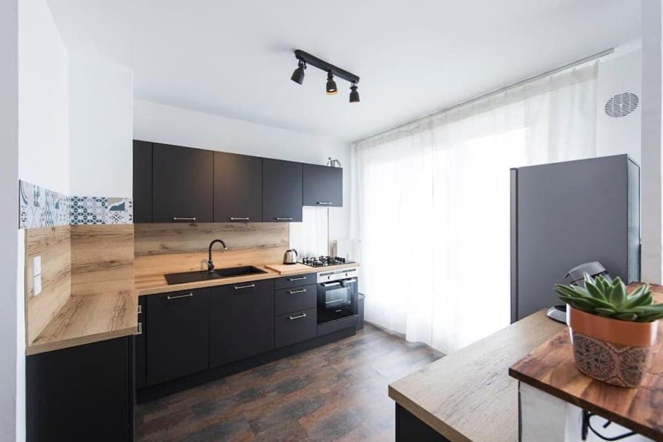 Kitchen or kitchenette, dishwasher, minibar, pet friendly, stove