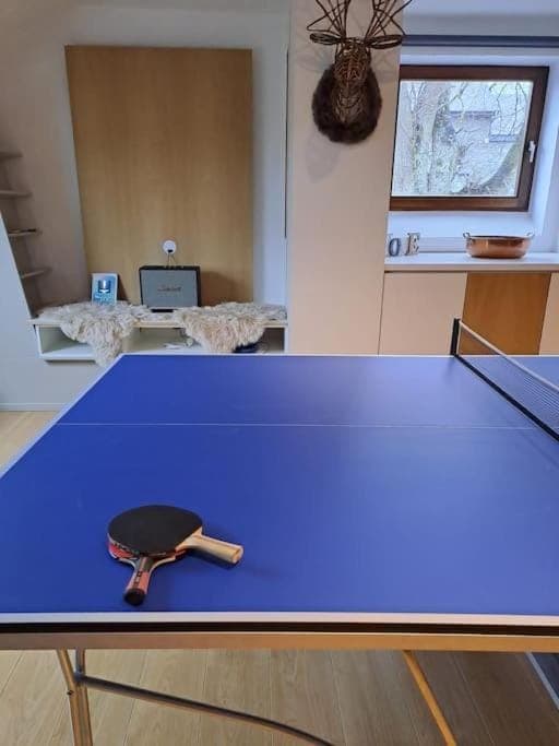Table tennis
