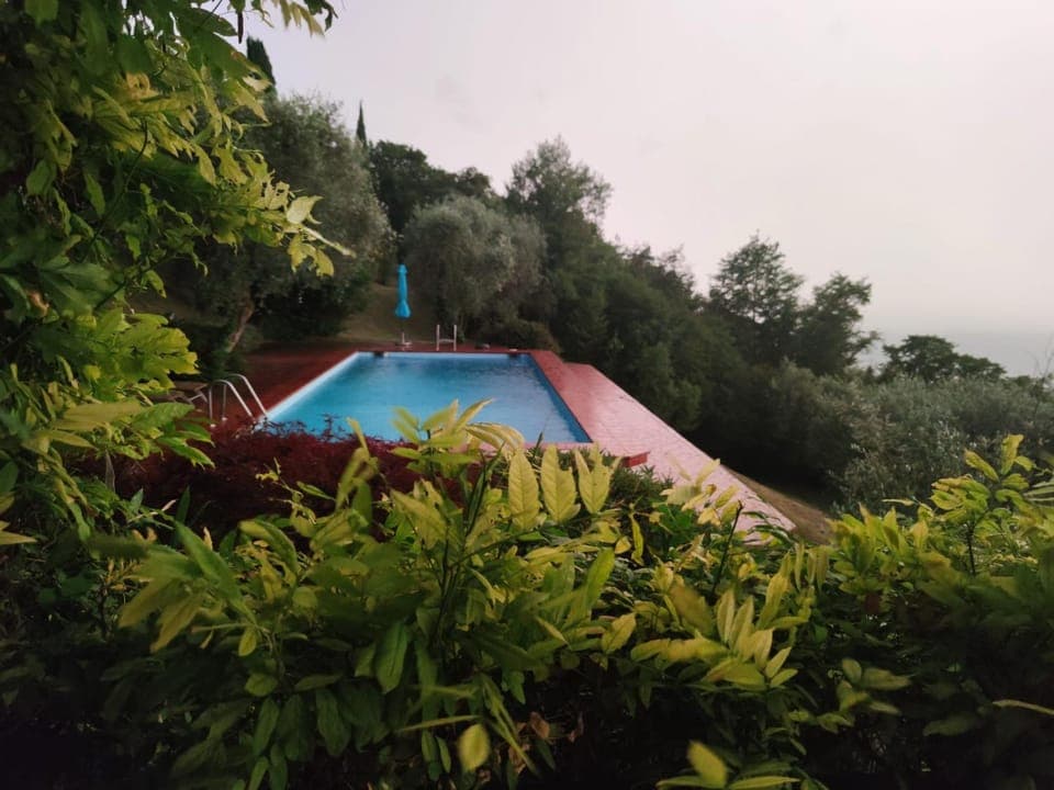 Garden, Swimming pool