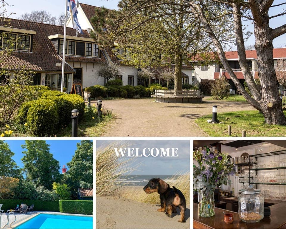 Garden, Pool view, Swimming pool