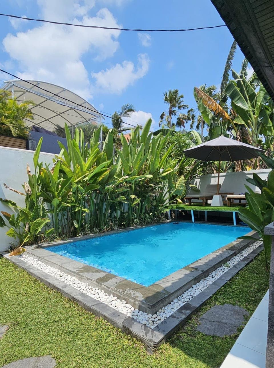 Garden, Swimming pool, sunbed