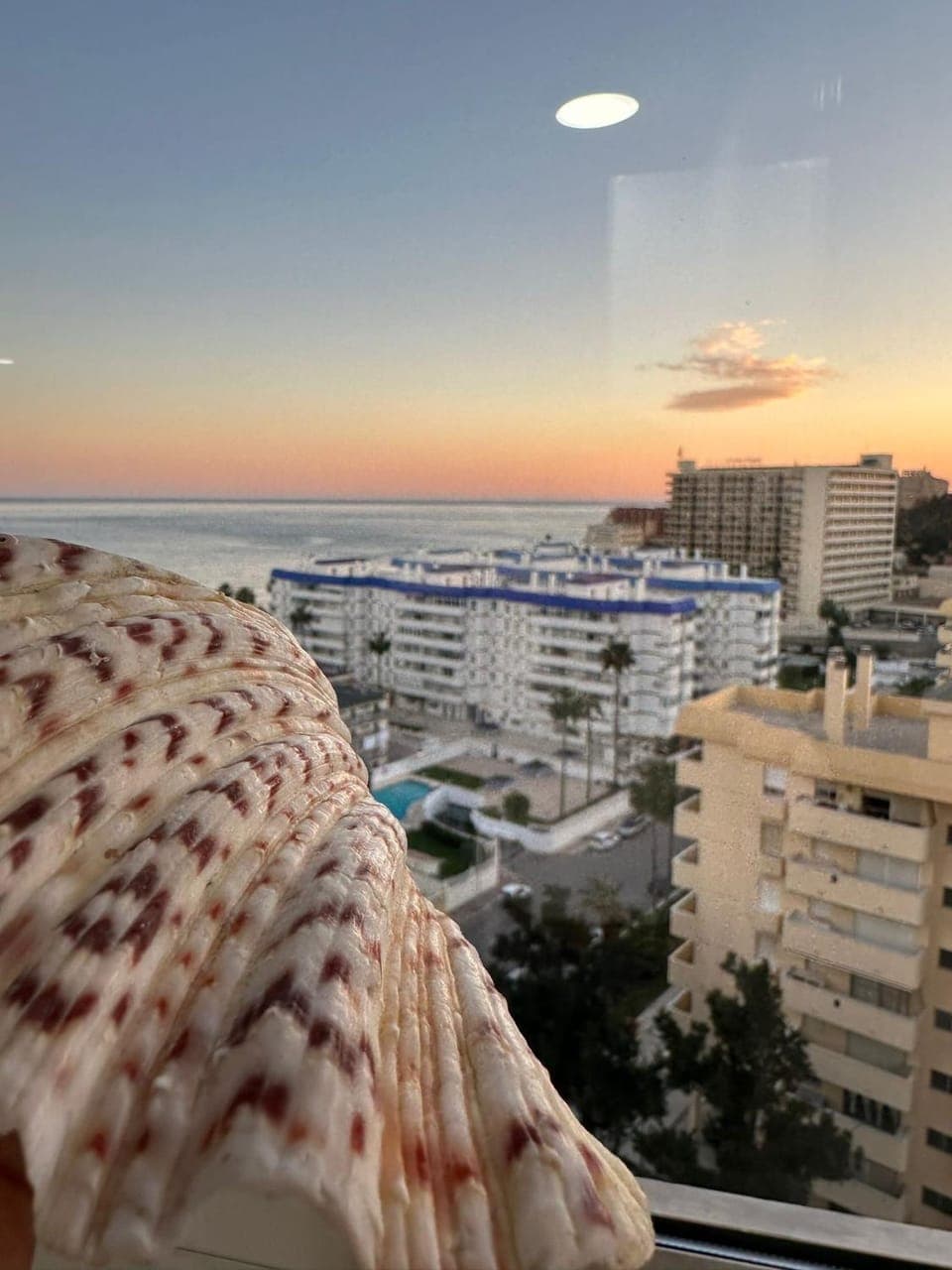 Day, Sea view, Sunrise