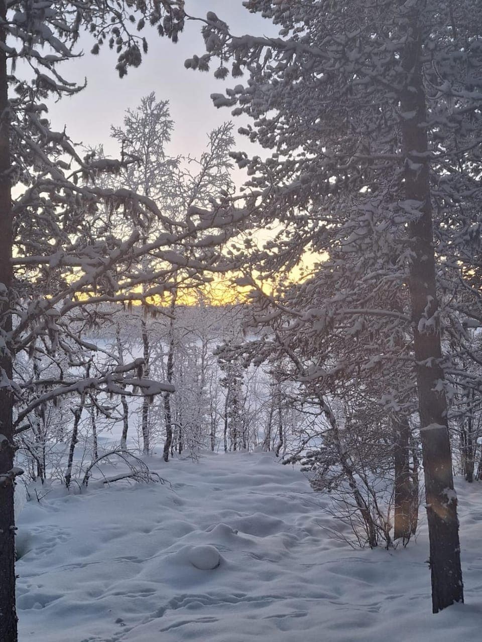 Day, Natural landscape, Winter