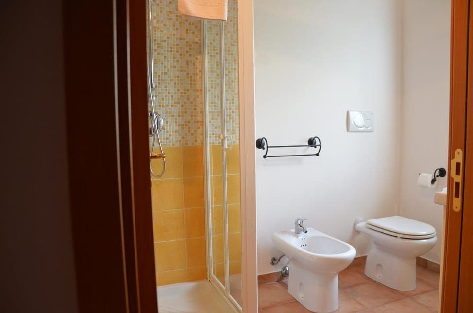 Shower, Bathroom, bidet