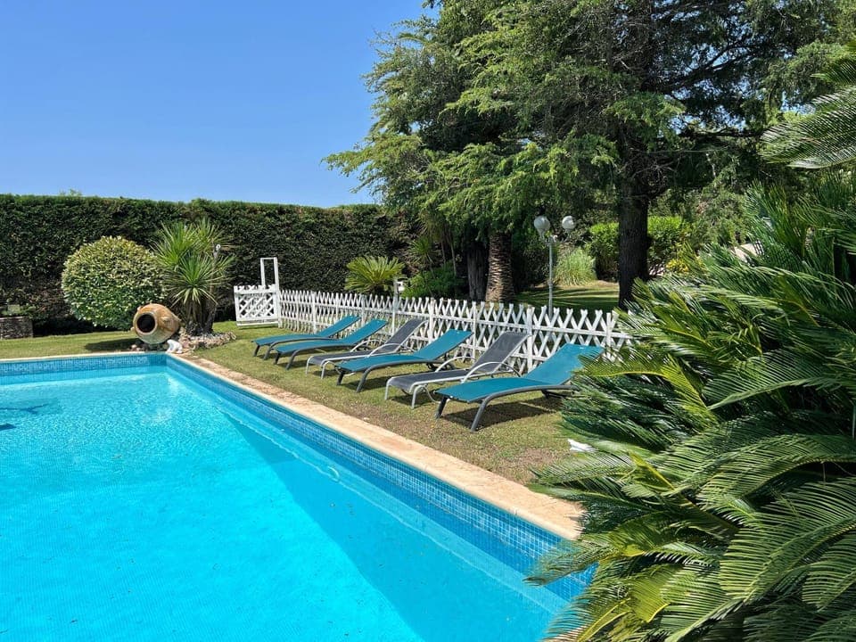 Garden, Swimming pool, sunbed