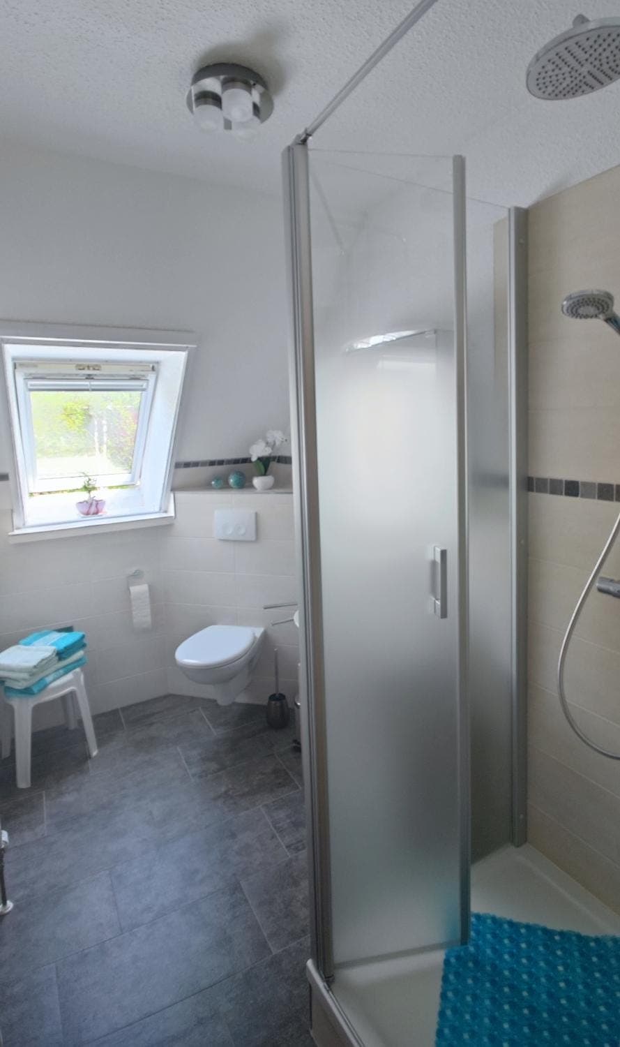 Shower, Toilet, Bathroom
