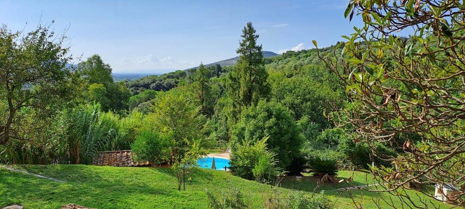 Garden, Garden view, Pool view, Swimming pool