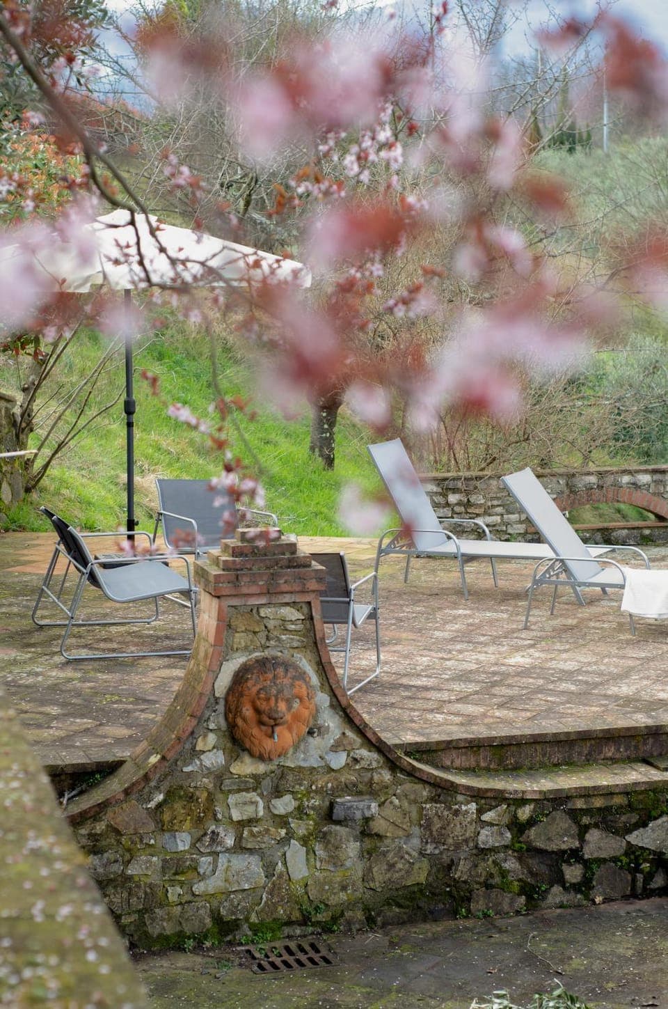 Garden, Balcony/Terrace