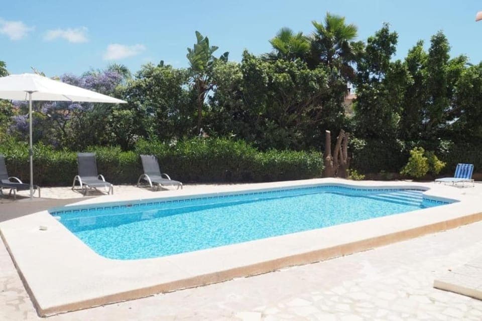 Garden, Garden view, Pool view, sunbed