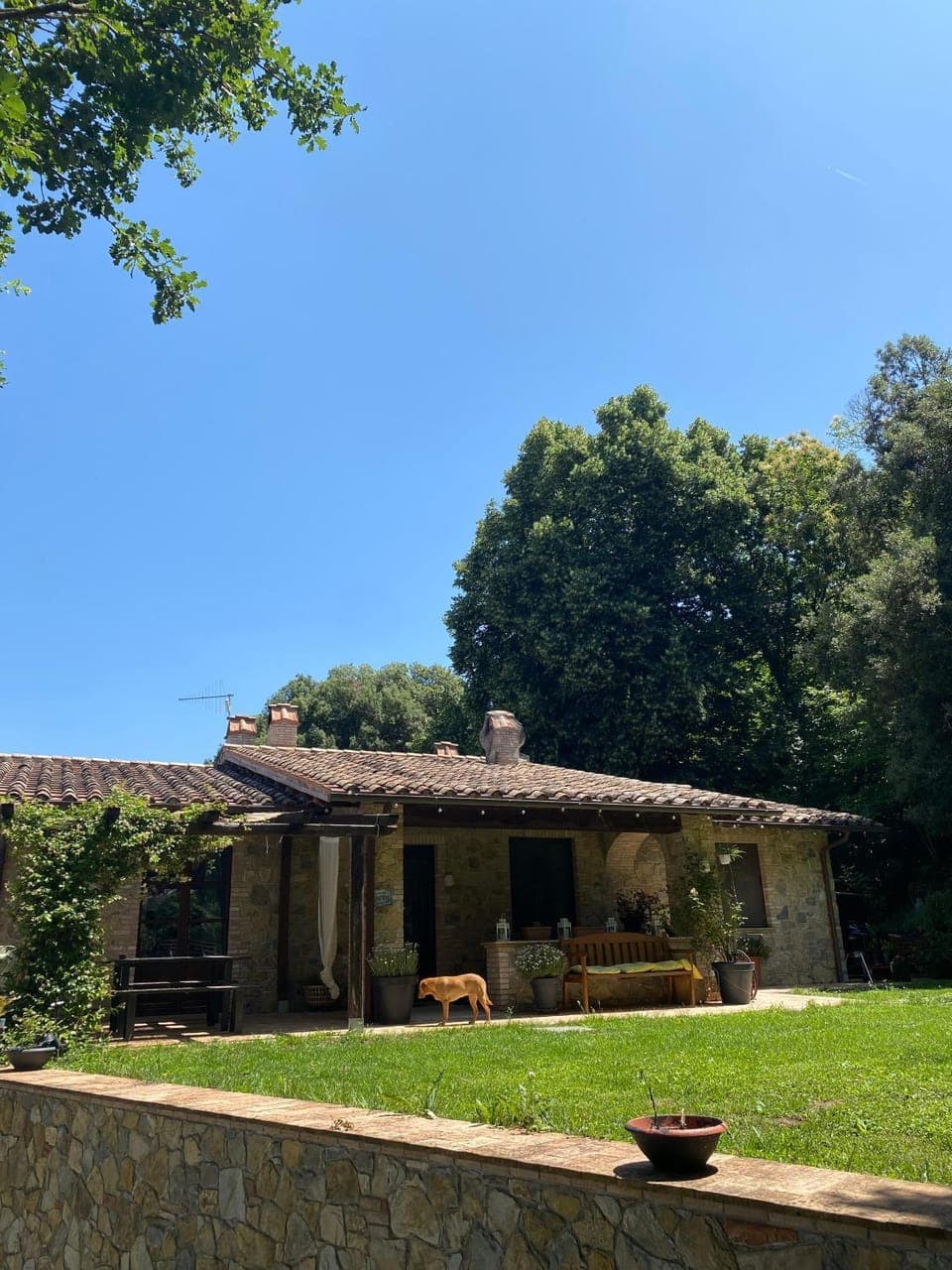 Property building, Garden