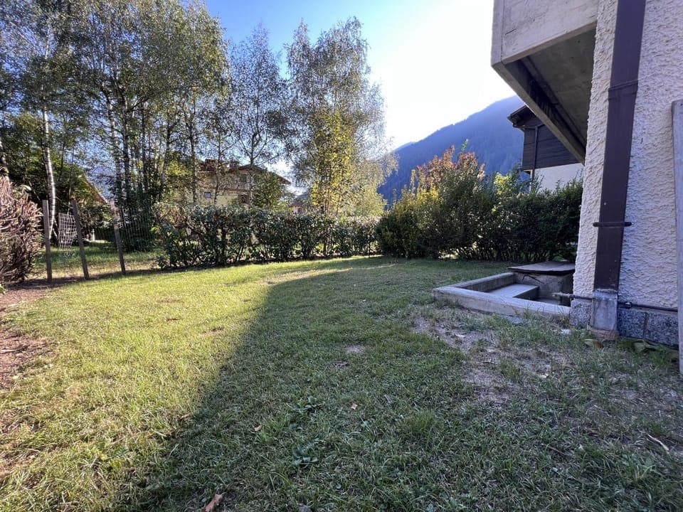 Patio, Garden, Garden view
